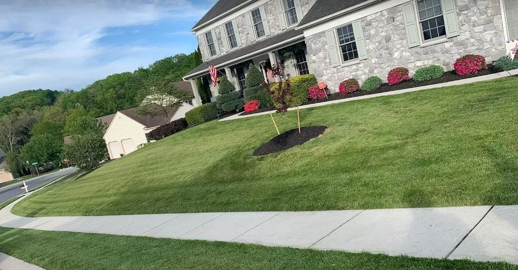 Front Lawn Transformation