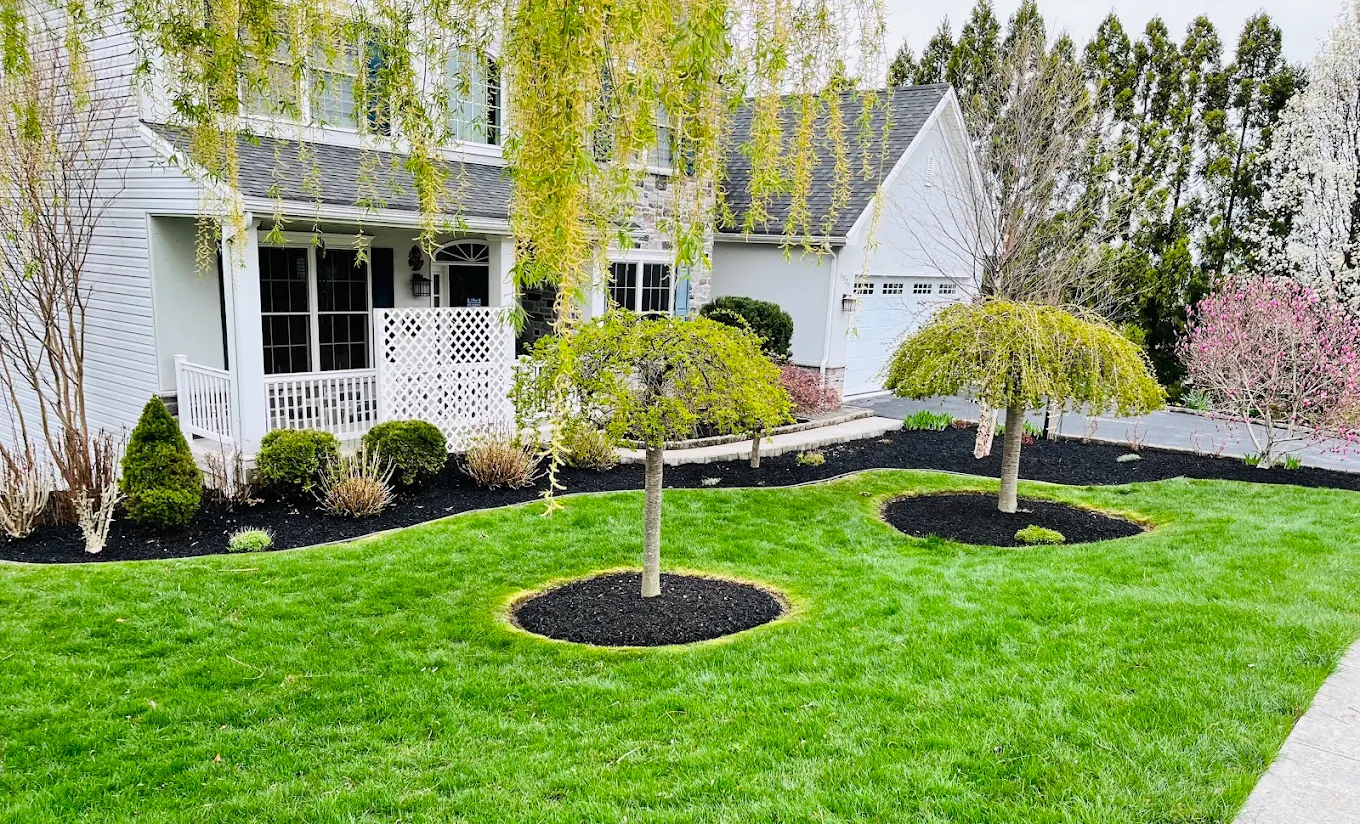 Garden Bed Design