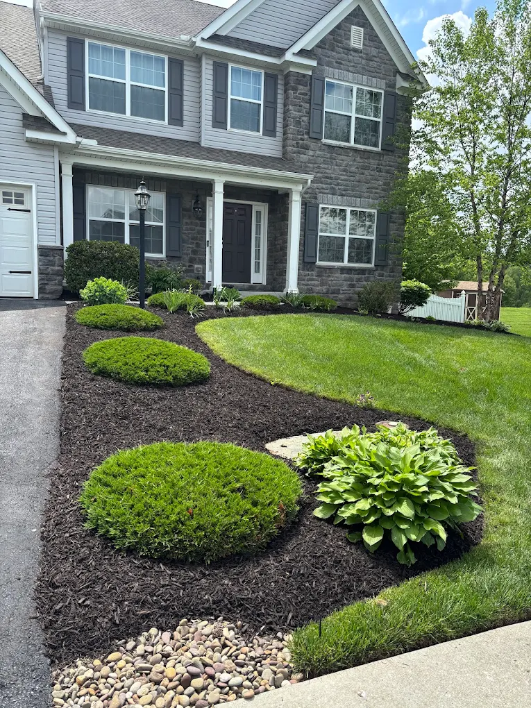Landscape Border & Steps